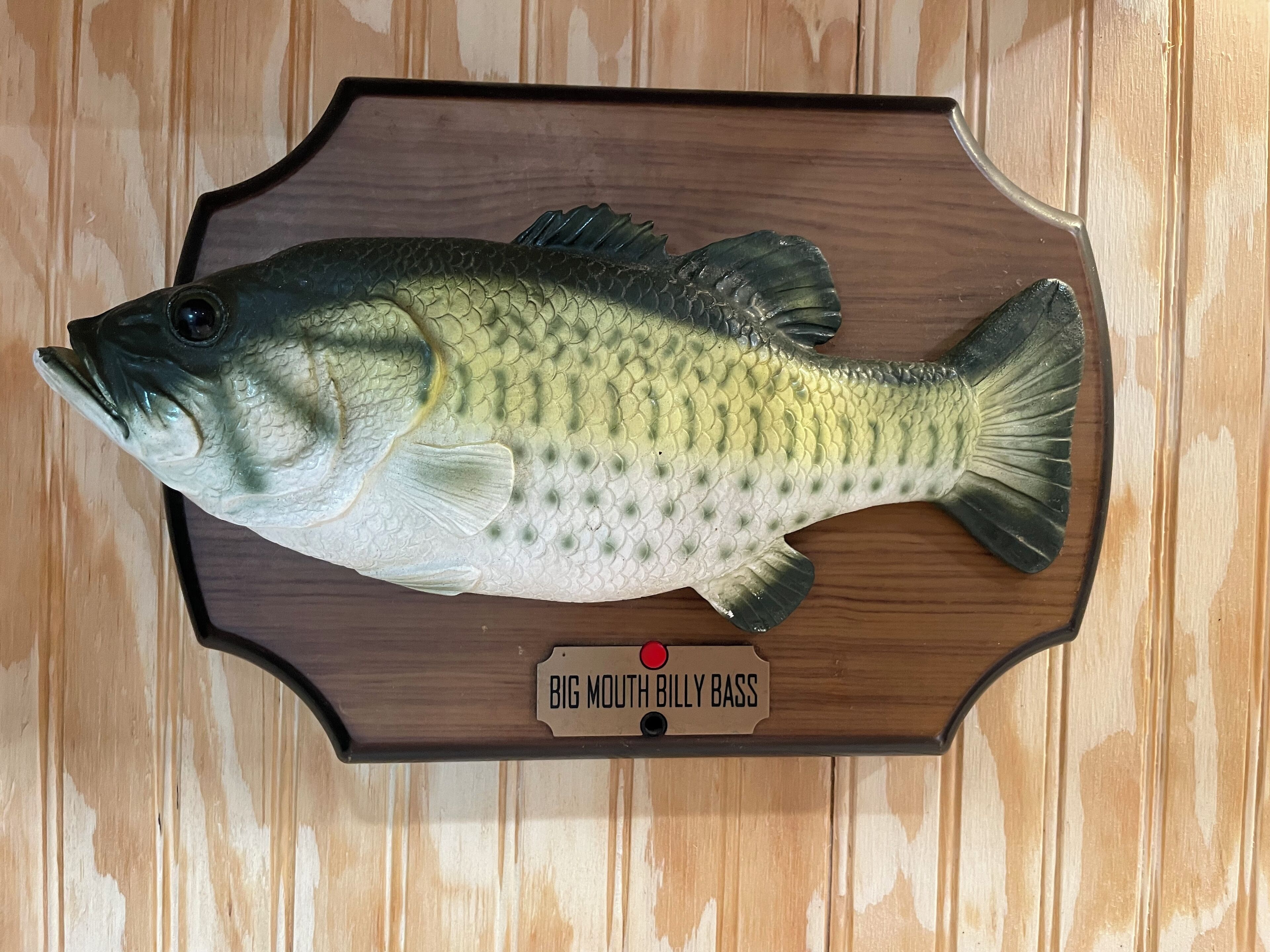 Un poisson empaillé, portant l’étiquette « Big Mouth Billy Bass », est fixé sur une planche en bois.