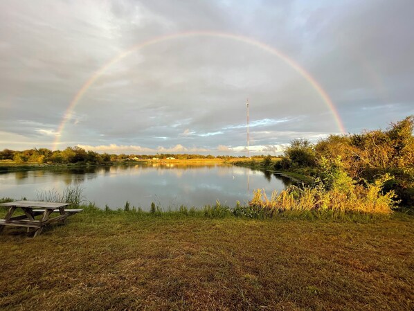 A calm lake with a wooden dock, surrounded by grassy banks and trees. - Bass Lodge - Lakefront - New (Commerce)
