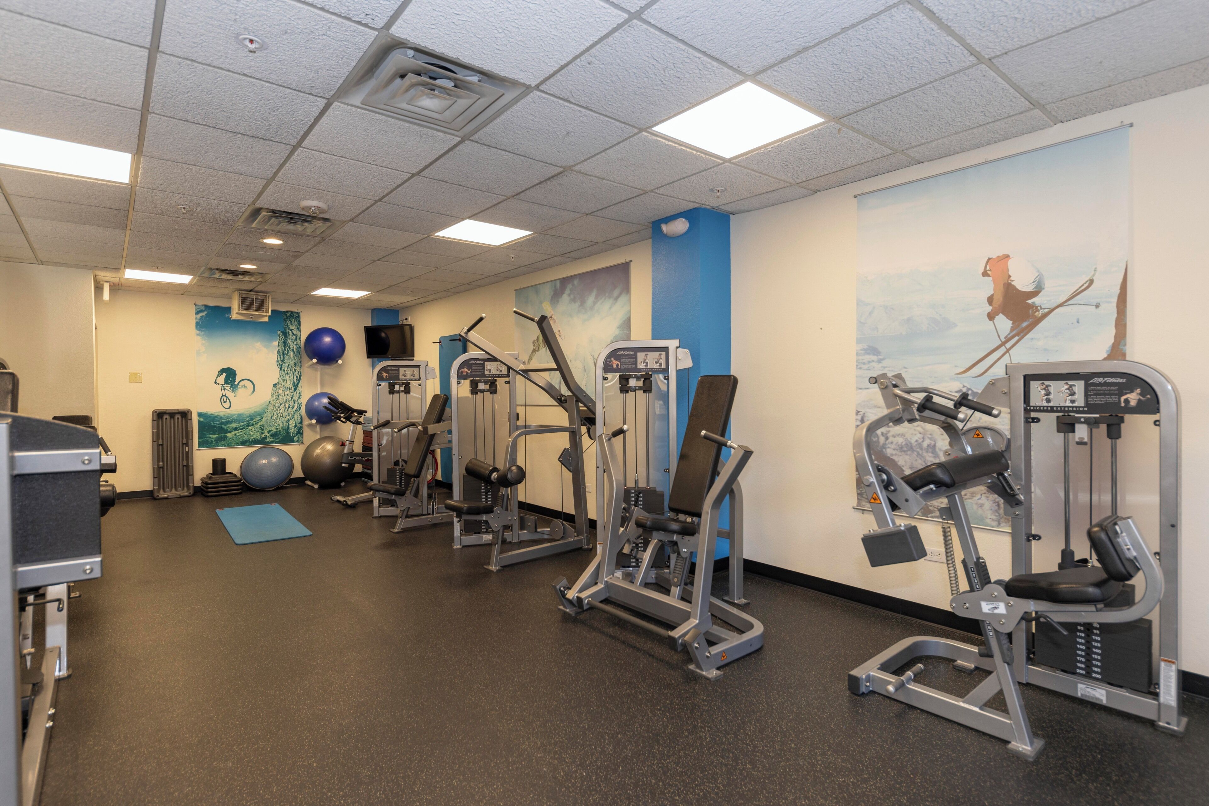 Une salle de sport équipée de divers appareils d’exercice, d’un tapis bleu et ornée d’une fresque murale.