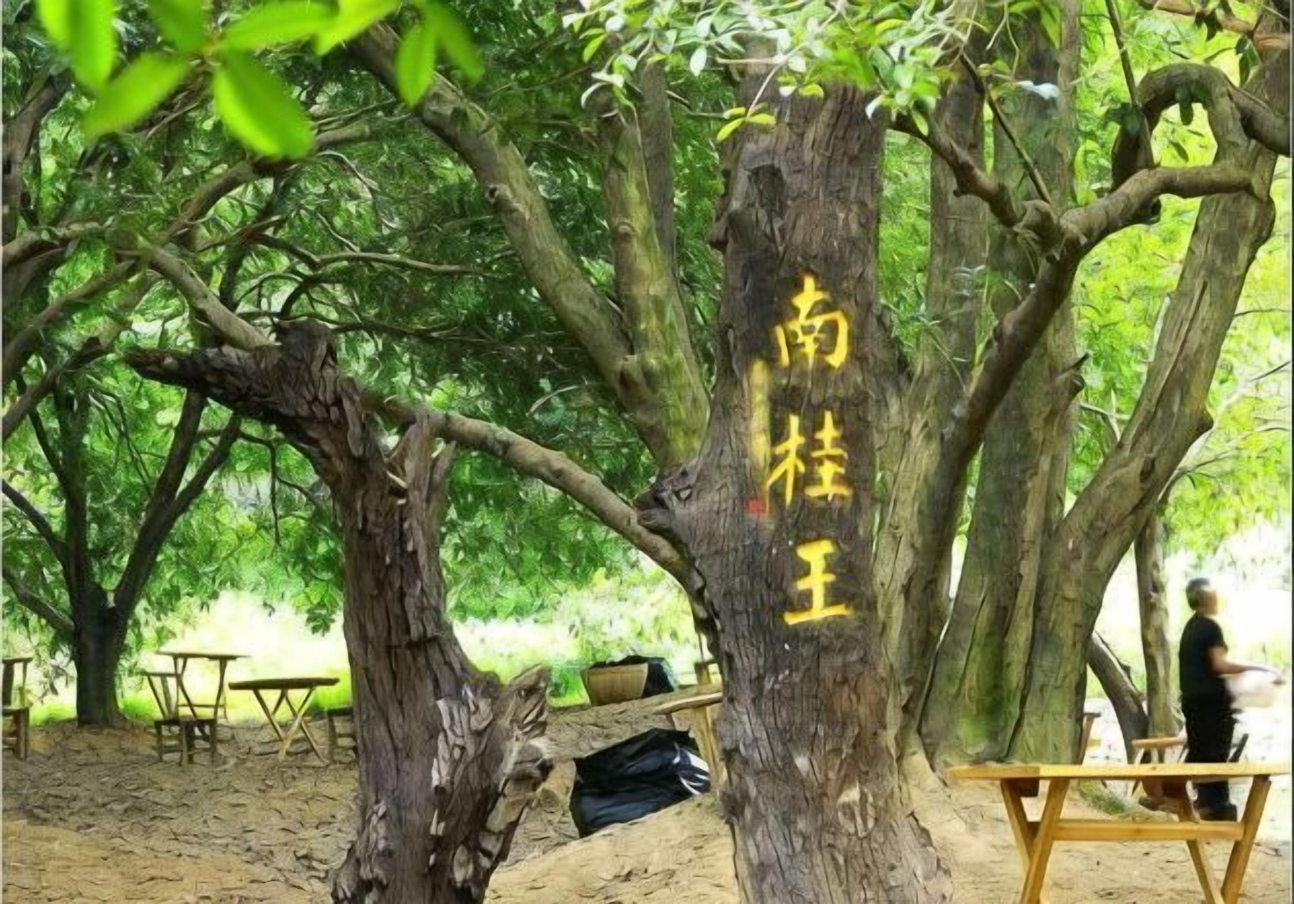 Khu ẩm thực ngoài trời