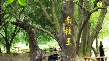 Khu ẩm thực ngoài trời