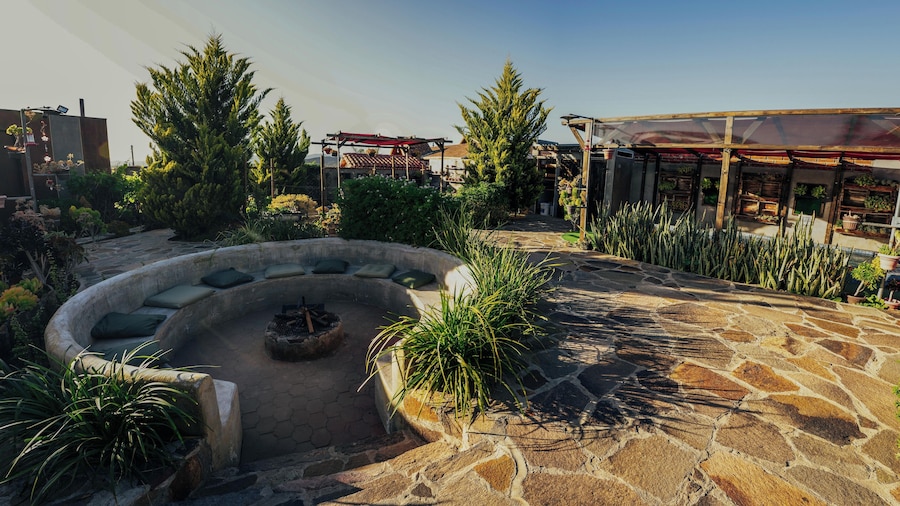 Entre Vides Valle de Guadalupe