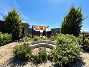 Property grounds - Entre Vides Valle de Guadalupe (Valle de Guadalupe)