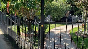 Un camino vallado con cerramiento metálico, una zona pavimentada y vegetación.