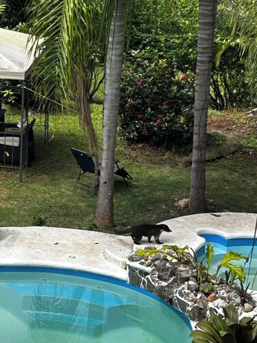 3-bedroom Villa, with tropical gardens and pool, 3km from the beach.