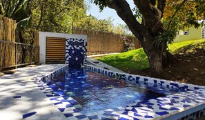 A swimming pool with mosaic tile flooring and a wooden door.