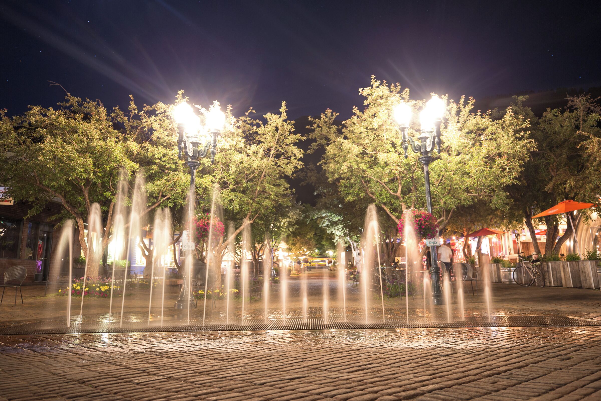 Escena nocturna con una fuente de agua, árboles y farolas.