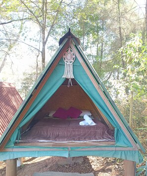 Cabane, vue montagne | 1 chambre