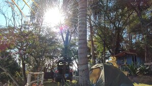 A garden with a palm tree, a tent, and a car. - Aqui no Camping (Brumadinho)