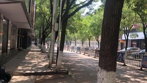 Jardín