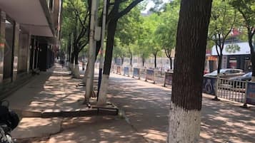 A tree-lined street with a sidewalk and parked cars.