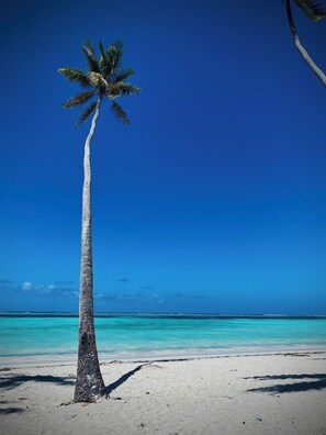 Beach nearby, beach towels