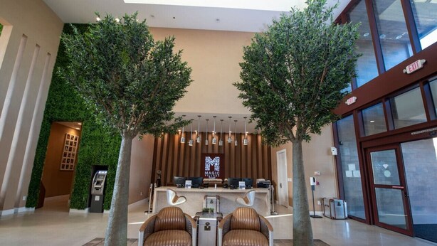 Un hall d’entrée avec un comptoir de réception, deux fauteuils en cuir et deux arbres.