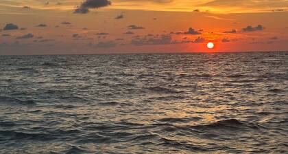 Magical Suite: Pool, Sauna, AC, Wi-Fi and More in Awesome Quite
Venice-Florida