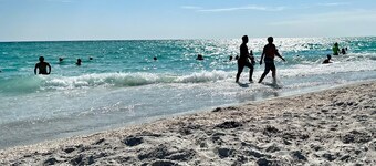 Magical Suite: Pool, Sauna, AC, Wi-Fi and More in Awesome Quite
Venice-Florida