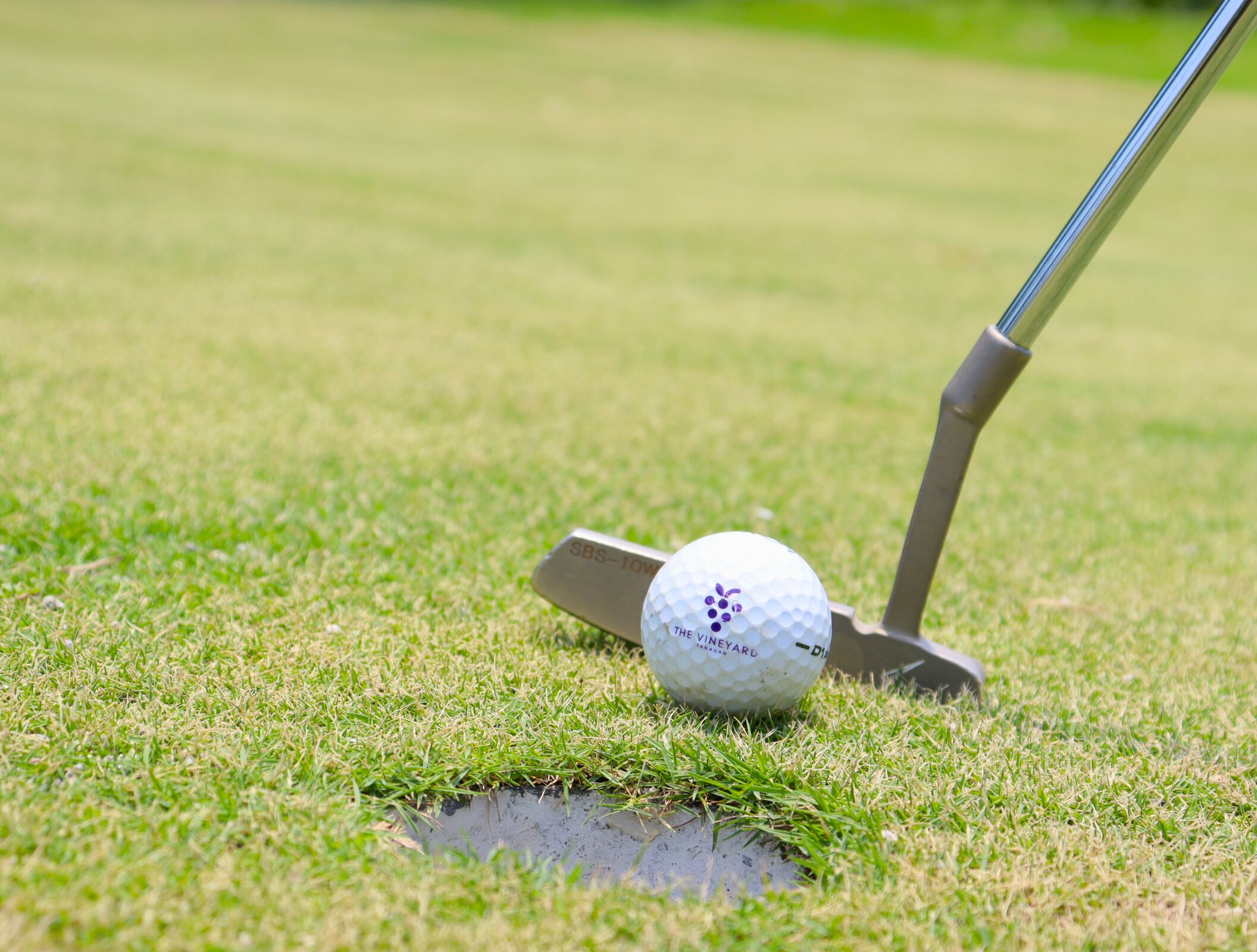 Uma bola de golfe sobre um tee num campo gramado.