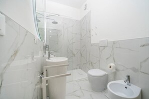 Shower, hair dryer, bidet, towels