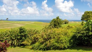 A golf course with a clear view of the ocean and a well-maintained landscape. - Puamana 16B (Princeville)