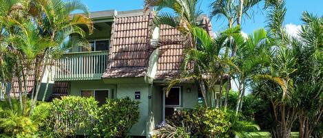 A two-story building with a balcony, surrounded by lush tropical vegetation.