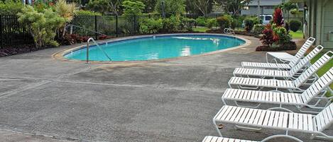 A swimming pool with lounge chairs, surrounded by greenery and a fence.