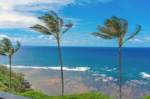 Beach nearby - Sealodge C7 (Princeville)