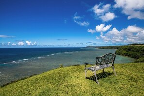 Beach nearby - Sealodge B4 (Princeville)