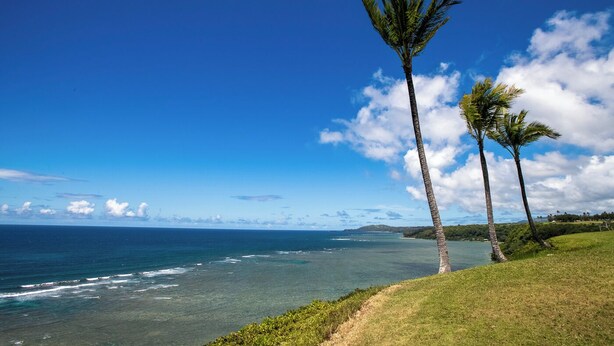 A coastal landscape with palm trees and a clear view of the ocean. - Sealodge B4 (Princeville)