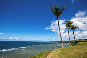 A coastal landscape with palm trees and a clear view of the ocean. - Sealodge B4 (Princeville)