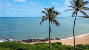 Ein Strand mit zwei Palmen, blauem Himmel und ruhiger See.