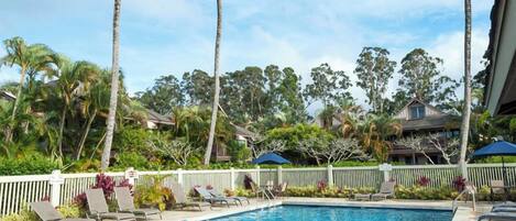 A swimming pool with palm trees and lounge chairs.
