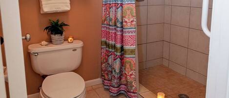 Une salle de bain avec des toilettes, une douche, un rideau de douche à motifs, une petite plante posée sur les toilettes et un tapis marron sur le sol.