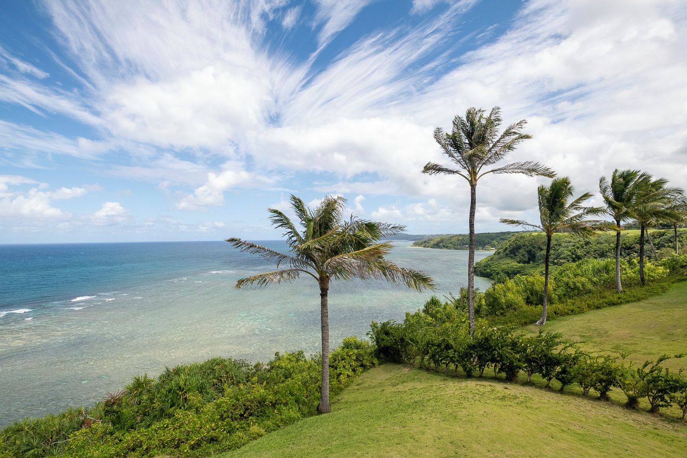 A coastal landscape with palm trees, clear water, and a grassy area.