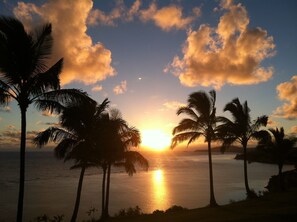 名牌盥洗用品、毛巾、衛生紙