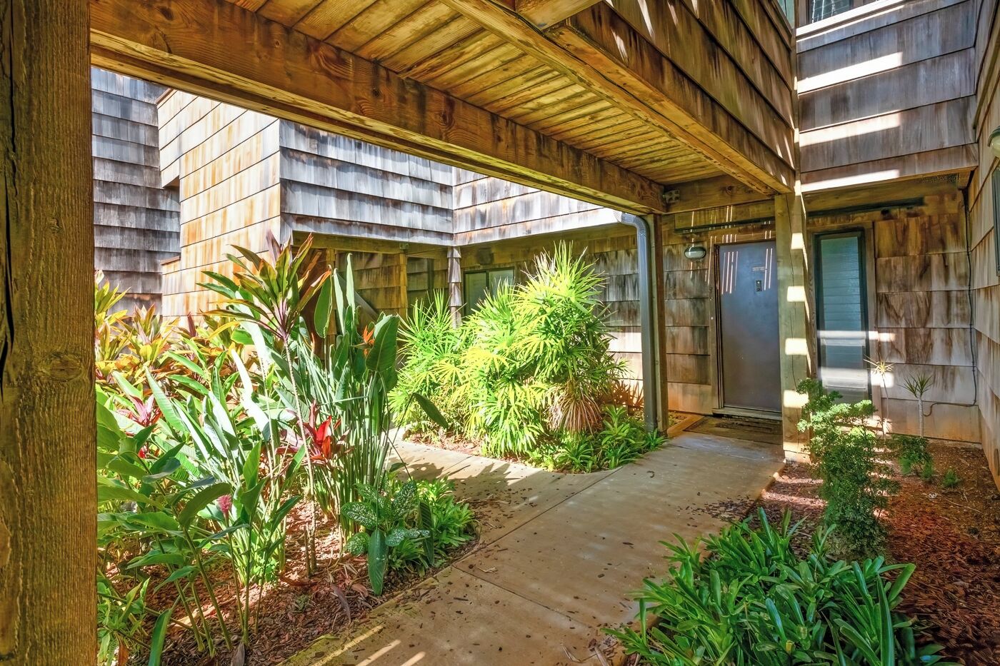 Un patio couvert, doté d’un chemin en béton, et entouré de diverses plantes et arbustes.