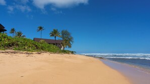 Une plage avec une maison et des palmiers.