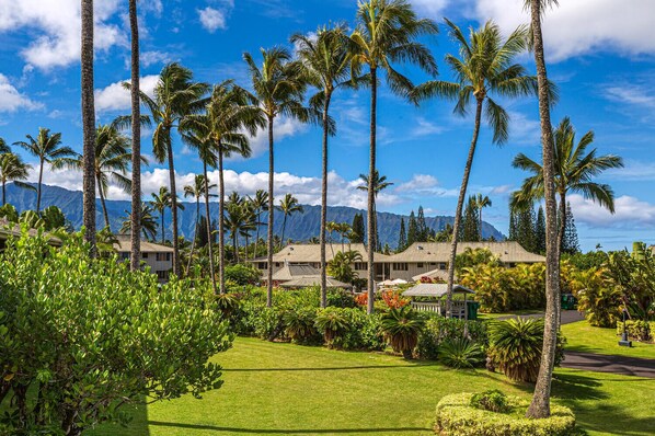 Property grounds - Alii Kai II 8H (Princeville)