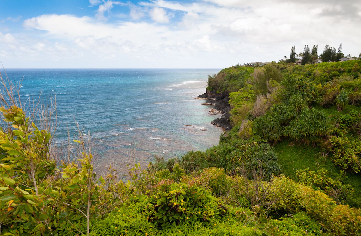 A coastal landscape with a clear view of the ocean, rocky shoreline, and lush greenery.