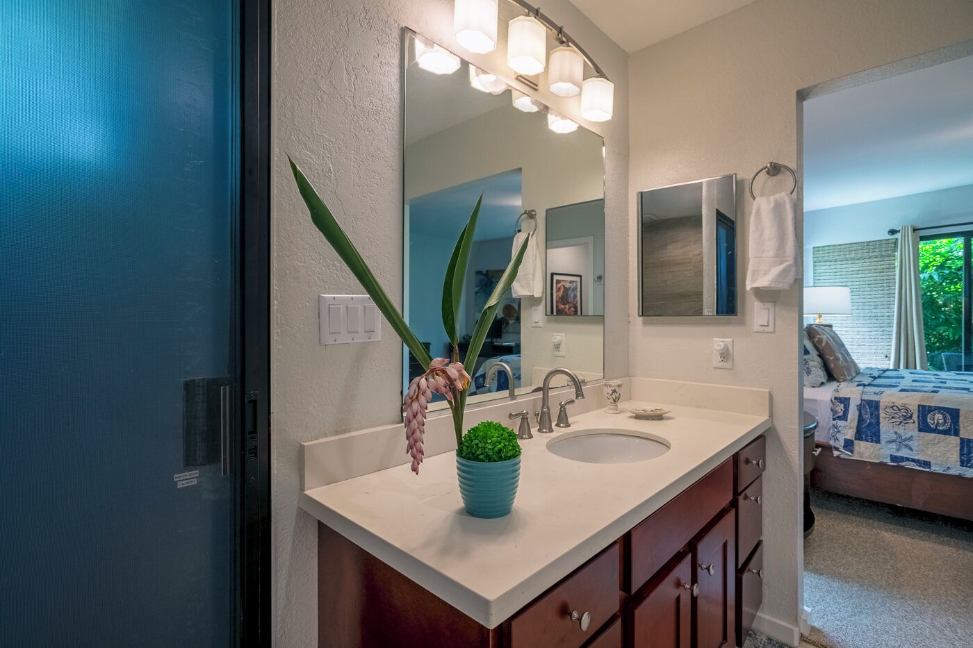 Un baño con un lavamanos blanco, un espejo y una planta en maceta.