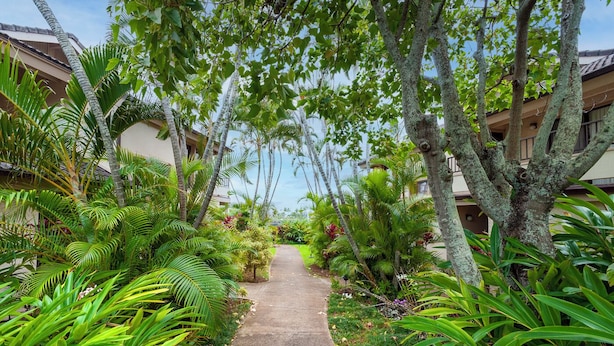 Un camino bordeado por exuberante vegetación tropical y árboles, que conduce a un edificio con fachada clara y un balcón.