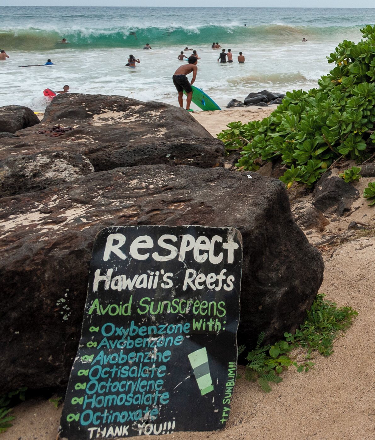 Une pancarte fixée sur un rocher, à proximité d’une plage, met en garde contre l’utilisation de crèmes solaires nocives pour les récifs coralliens.