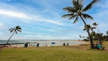 Gần bãi biển