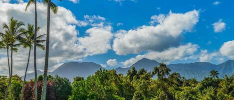 A tropical landscape with palm trees, lush greenery, and mountains in the background.