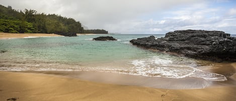 근처 해변