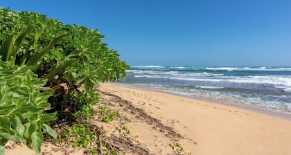 Hanalei Colony Resort E3