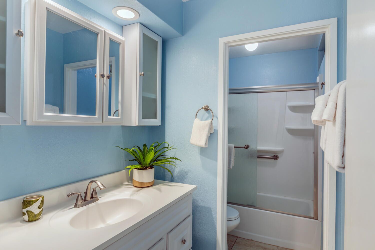 A bathroom with a white sink, a mirror cabinet, a potted plant, a towel rack, and a shower area.