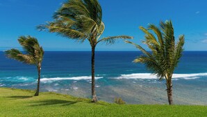 A coastal scene with palm trees and the ocean. - Sealodge G4 (Princeville)