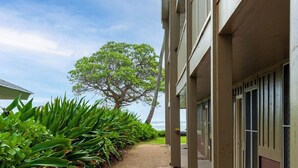Un chemin menant à un bâtiment, avec un arbre en arrière-plan.