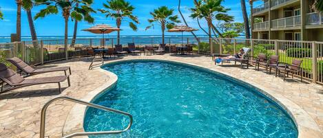A swimming pool with lounge chairs and umbrellas, surrounded by palm trees and a view of the ocean.