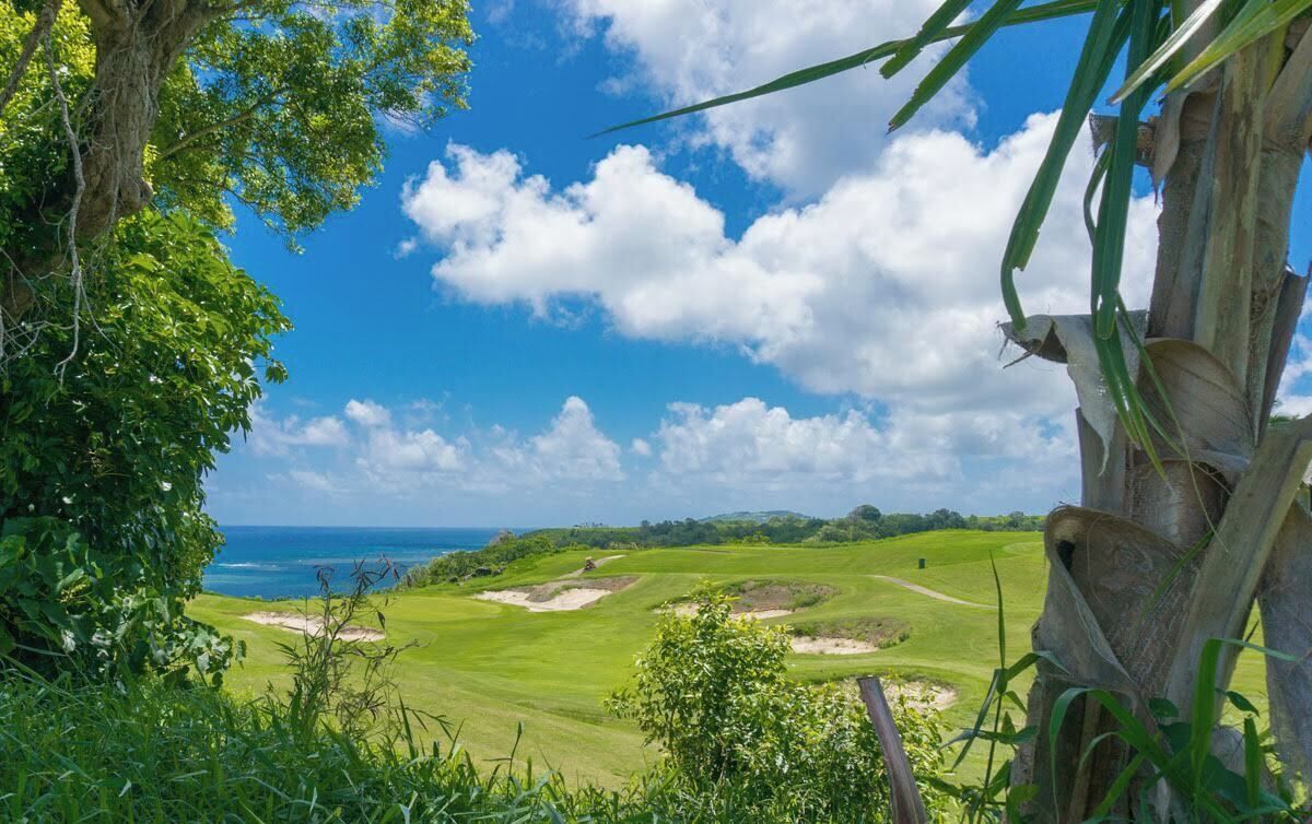 A golf course with a clear view of the ocean, surrounded by lush greenery and a clear sky.