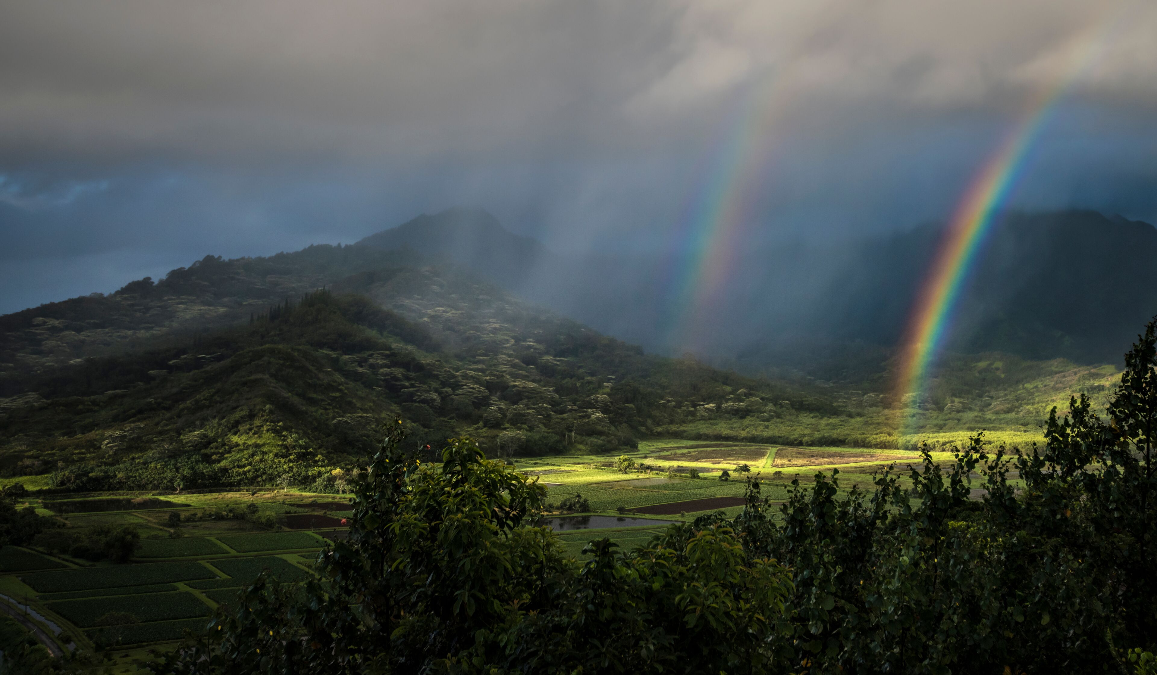 Un paisaje montañoso con un arcoíris y abundante vegetación.
